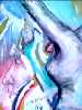 Elocubra��es