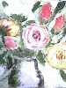 Rosas e bot�es
