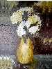 D�lias iluminadas