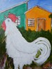Gallo bianco