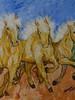Cavalli baii in Pigneiral