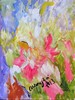 Colori nei fiori